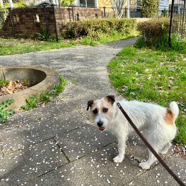 C0dd8fe4 baf2 49cb b469 49453417f056 1743918281874