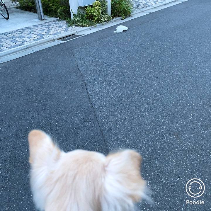 C0dd94a3 59cf 40e8 a108 18fe66fcac94 1599653919842