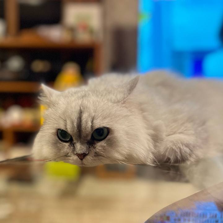 C0dde485 bd1f 4635 92b8 bd2fbc221e55 1660132913103