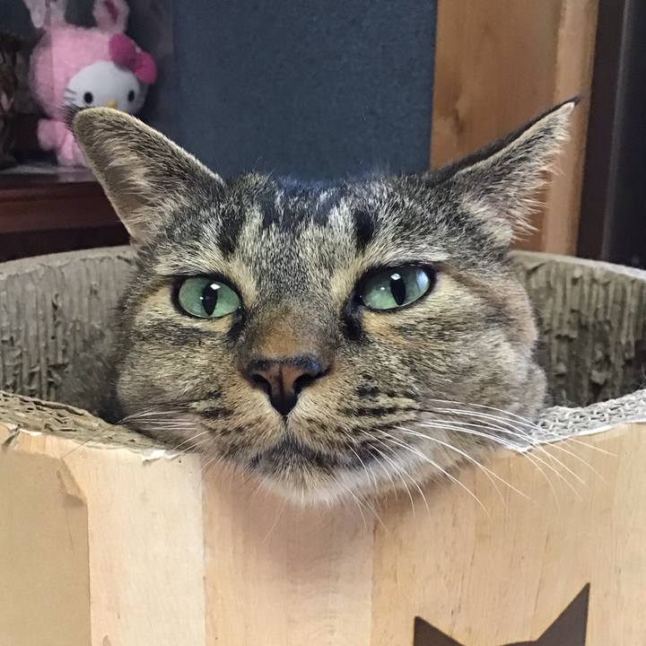 C0ddf5e8 ae2a 4bc0 a579 acc0429bf2f1 1756457539806