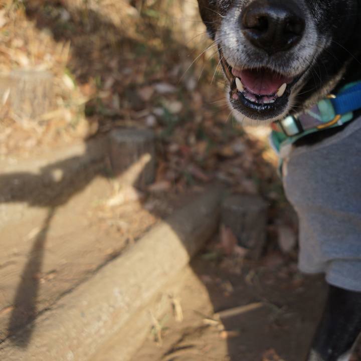 C0ddfc79 b86f 4eec a19c faa444621255 1769821650320