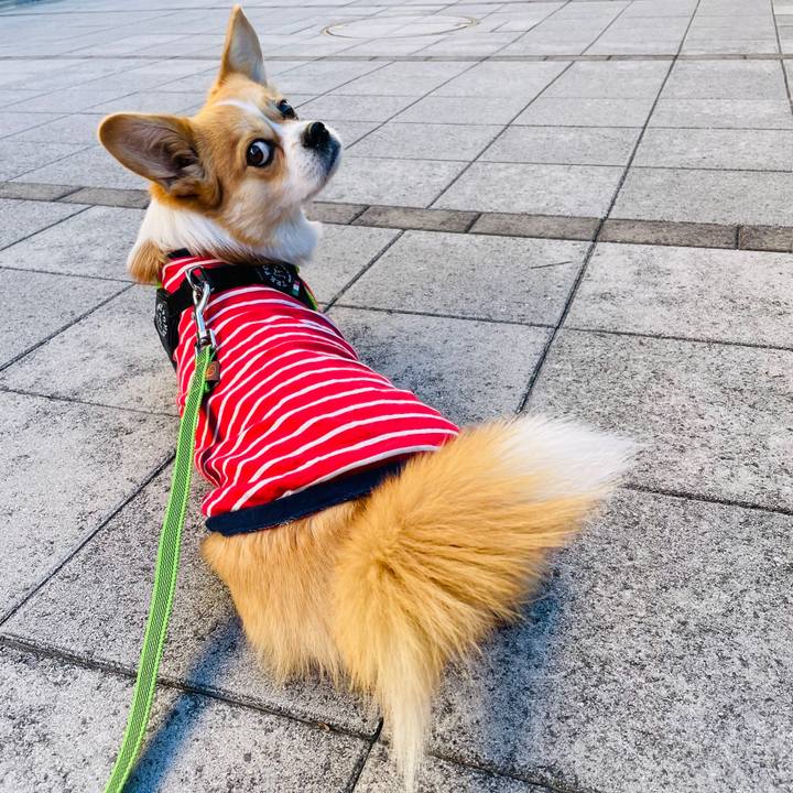 C0de2cab 04c4 4c93 93aa cbc74dd3332a 1638062604372