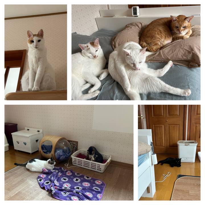 C0de3090 e137 4ef5 94fb d43a21874c58 1685307606979