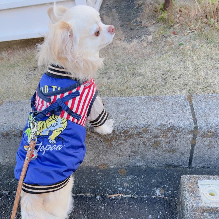 C0de51d8 5005 4df4 852f 838bb0576b4f 1767684505259