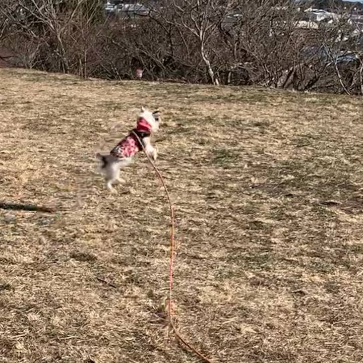 C0de6d5a 00ba 4f6f 8dd6 0a5defec7558 1675645757958