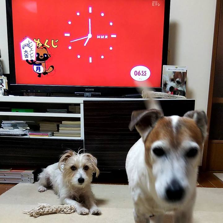 C0de7164 0e7f 461a a0e7 cbcfa99b580f 1555885616547