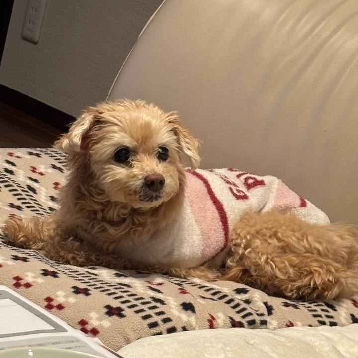 C0dea3ac 3f61 4492 99eb 4ce309ee5407 1740742374608