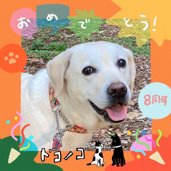 C0deb15e a86b 4fa8 989a b72267fa7333 1718318595716