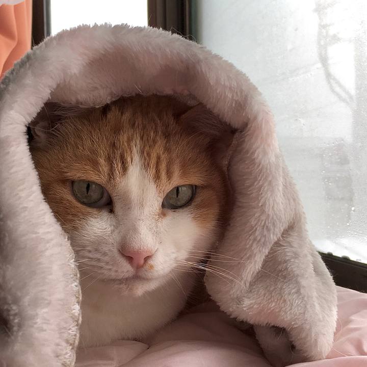 C0deedaa 06b5 43c3 8455 b8cb67a72be4 1613459030112