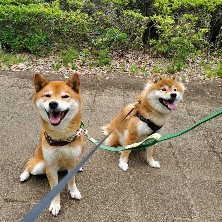 C0def52d d3a7 4fab 870c 45f0347438ff 1622445442467