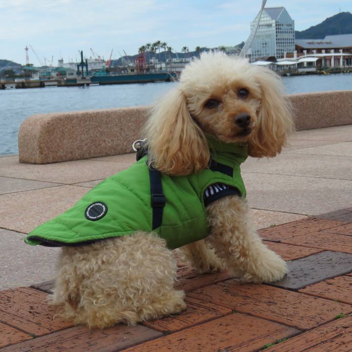 C0df375c b1fe 44a1 8090 d0b7d628ba05 1642847150849