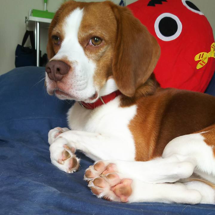 C0df5aa8 6a41 4e7c 80ec cc9b3ddd44c4 1600400953061