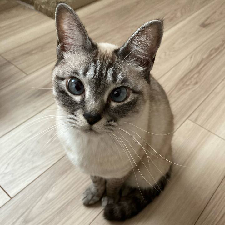 C0df5b03 cbfd 485e 9aef 1d5616180268 1679534730178