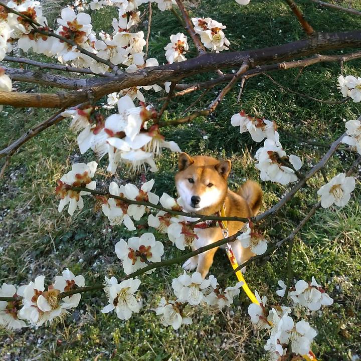 C0df6035 5fb0 43e0 87b6 ed85d6899e6d 1520753933564