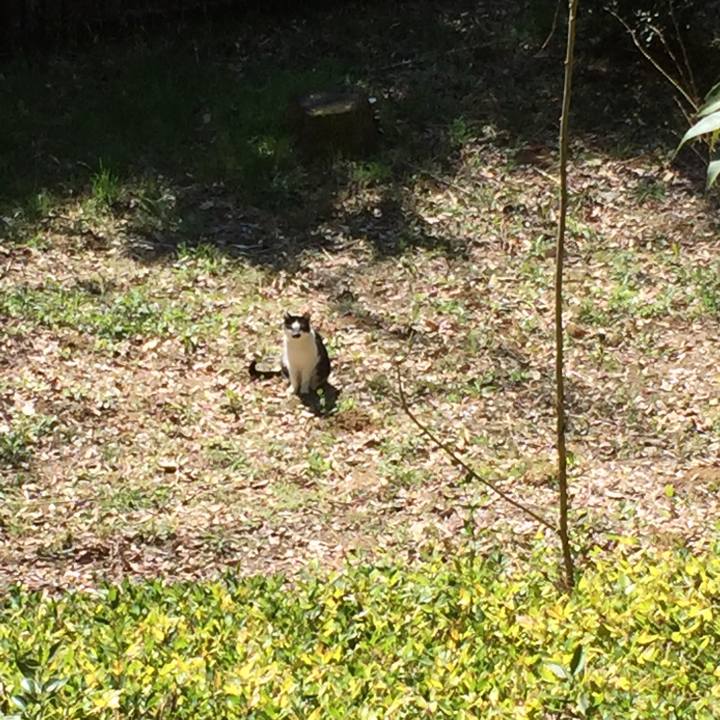 C0df9656 55f2 437f be28 b6b6599d3931 1553416591175