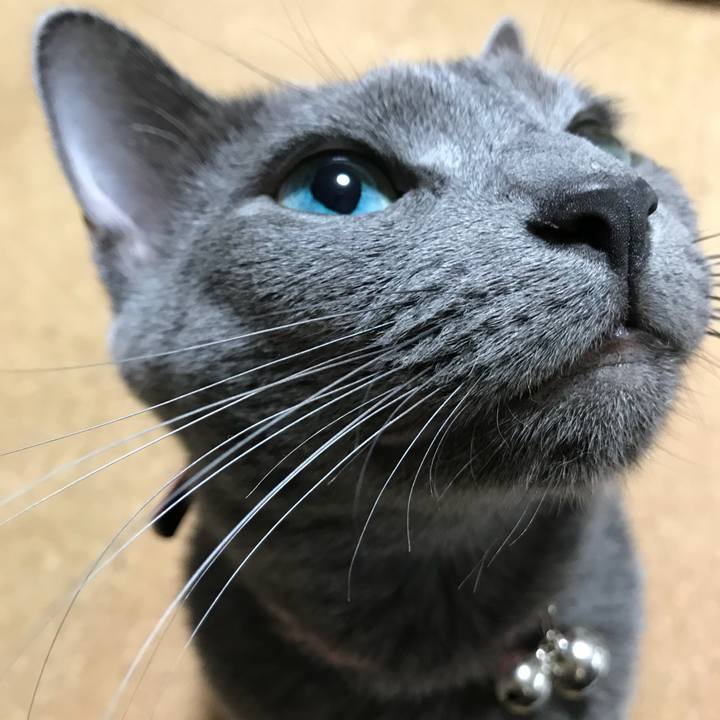 C0dfa042 fd23 43ff 9edb d30664d65348 1508885853921