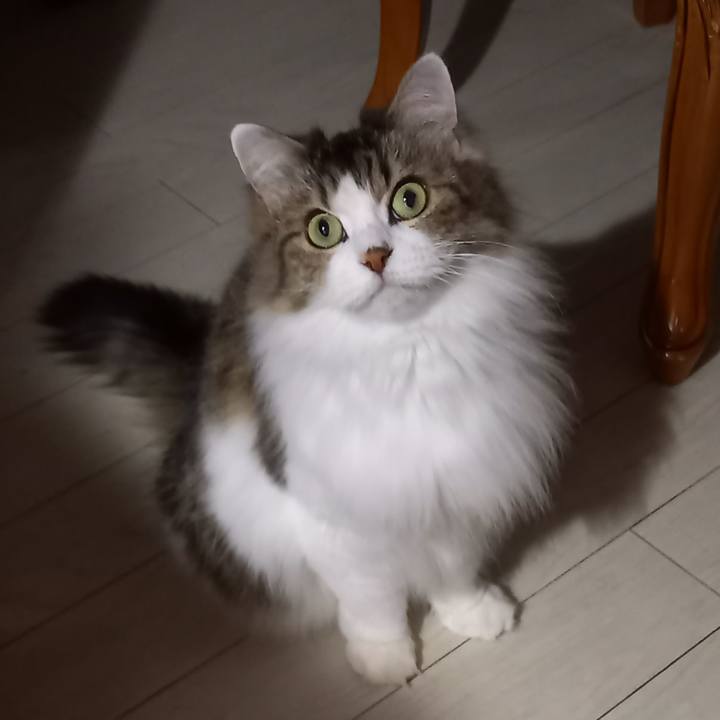 C0dfb0f8 1c98 4c8b beef 9e51c13d02e5 1669645426689