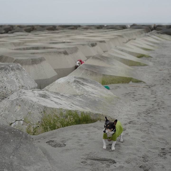 C0dfb6c2 ecf3 49c3 a1c3 d50a1d21c99b 1551673785301