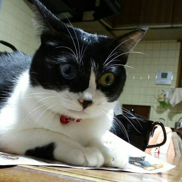 C0dfc156 804a 4919 8bcf d1dac260e605 1510912150605