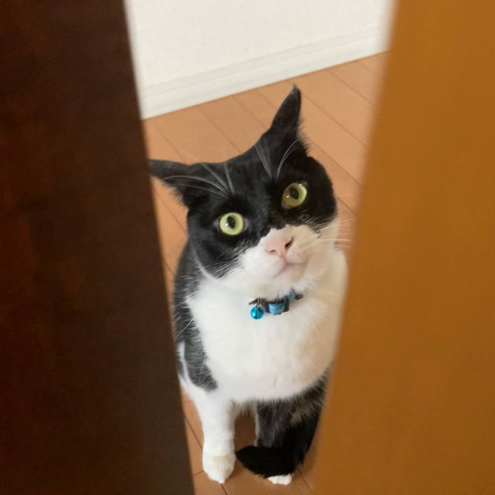 C0dfcc6d 7e46 4468 a7ea 519e3182add9 1718168882947