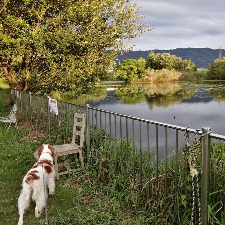 C0e00298 1372 4b9d 8fa8 59f8a1701f3c 1632049222669