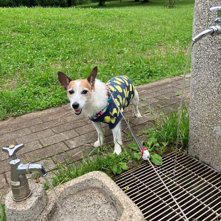 C0e05cfd 3dd1 45b2 82ba 3d996cac8e35 1686525944783