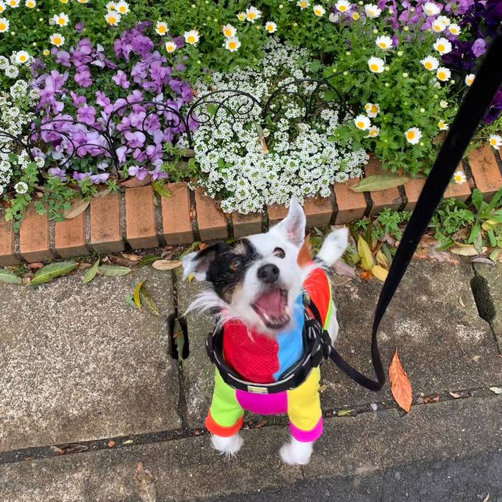 C0e0788b f2fa 4d1d bd16 e06bdd0594dc 1712279768755