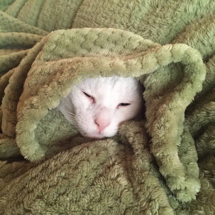 C0e07a99 da09 46e8 a2b9 78812a7455e1 1573856431004