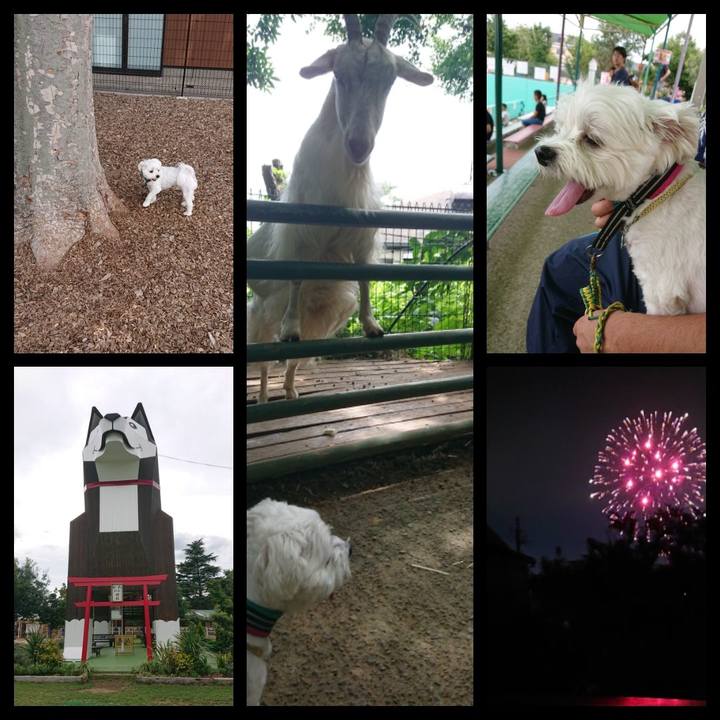 C0e08213 e57d 4ee8 9247 688b9761ea97 1534677894205