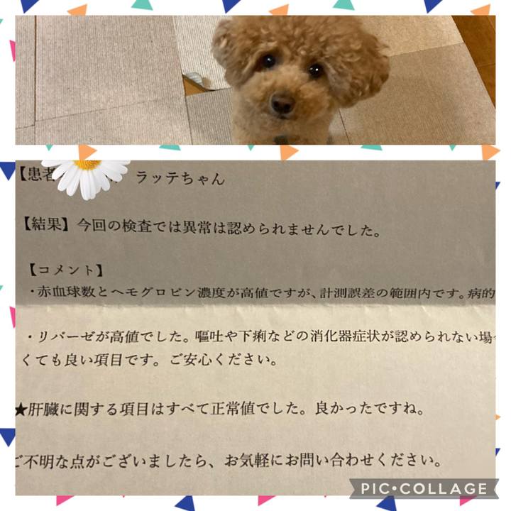 C0e09e99 a200 46fd 8aa8 3ab2c0d8f406 1651230300568