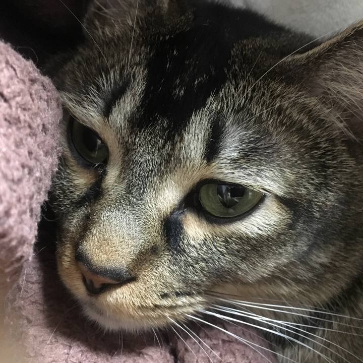 C0e0b80f cab6 42b7 9fa8 4790d1d45bdf 1519292610703