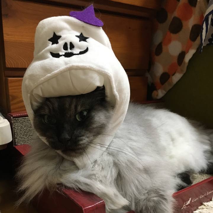 C0e13b27 7375 4701 b37f c986077e75cd 1572526628885