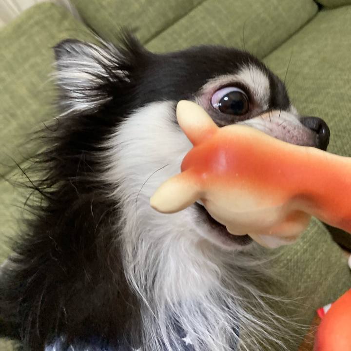 C0e16b2f 55f8 4765 bb56 47e7b793dcac 1666446782321