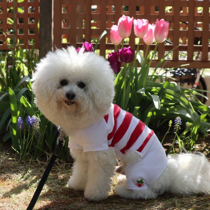 C0e1a57b 7071 48e2 853a 6e5c0c57b067 1618371215749