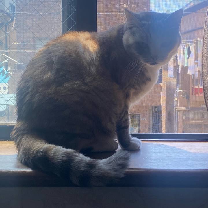 C0e1d544 66e1 4695 a071 b8c0f15245ca 1717812362837