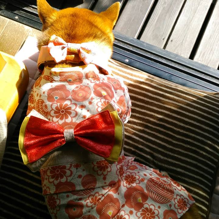 C0e26aa7 a7c9 4667 8def 6405b1184d52 1520052445695