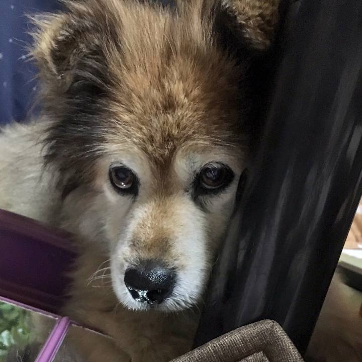 C0e2934a a820 465c 9bb0 f1fb1a1c1097 1594954137044