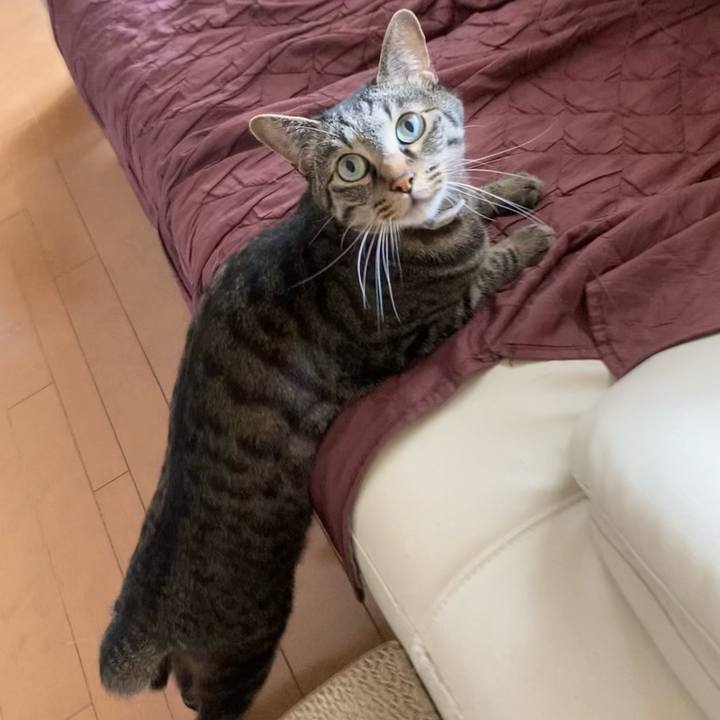 C0e2a647 dd70 4eb7 a4fb 50998cd57e36 1623980941026