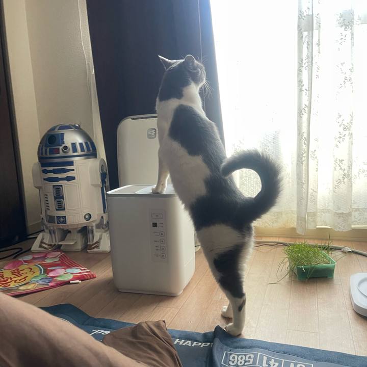 C0e2c5a2 ae94 4bdf a62b baa4a5414ed0 1740639432210