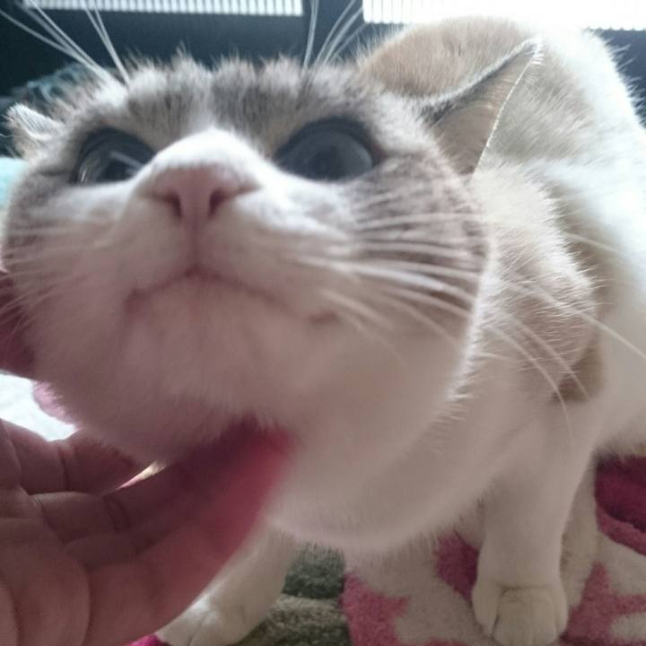 C0e2cc9d 1ff3 444b b589 fe9da84a9761 1510533178917