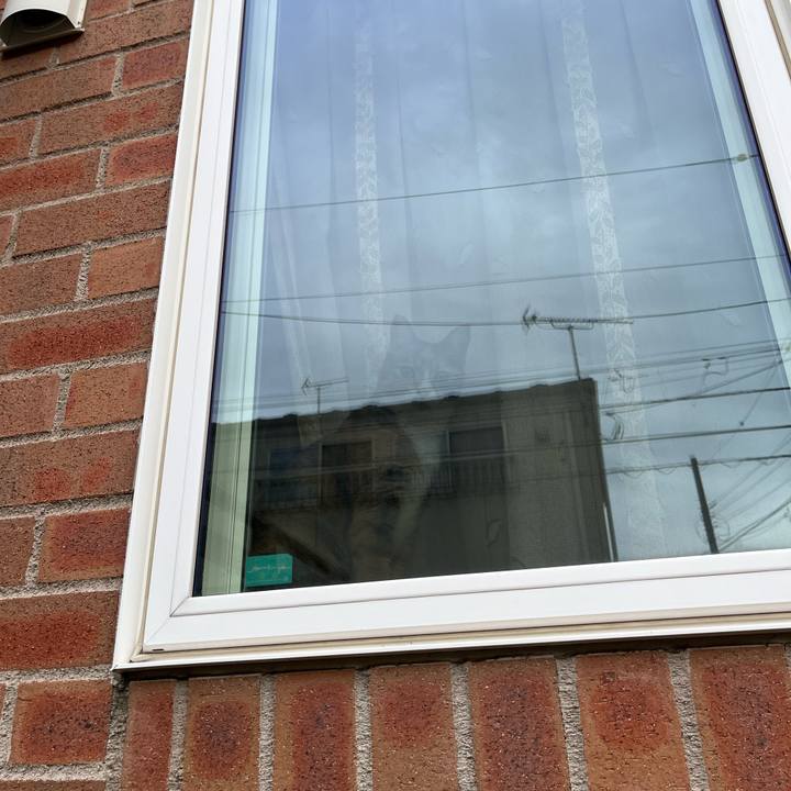 C0e2d3ae 47b6 4672 95fb 622e9cc8a2a9 1689382422537