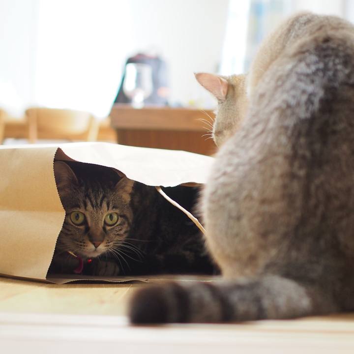 C0e30391 0780 449f a236 c49743d2f43c 1592122778799