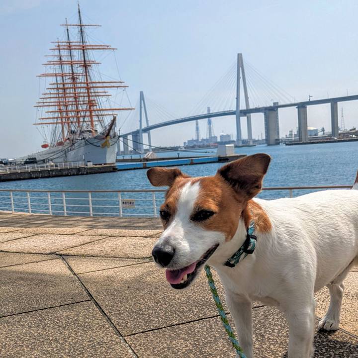 C0e31bac adbb 4516 b22b 93ee8d7e0a49 1742997950913