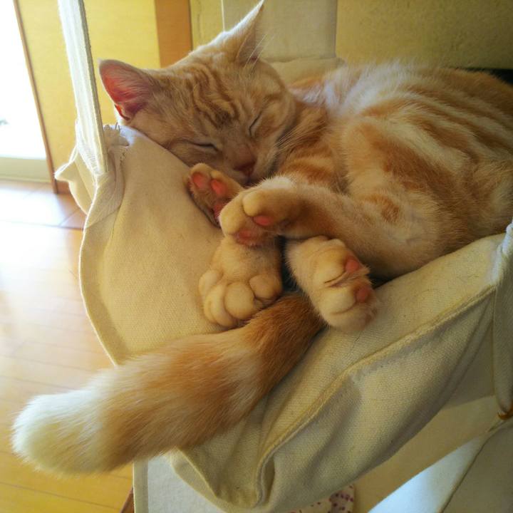 C0e32163 bae1 4f1f 9abb fe9d3a4a9487 1513316344348