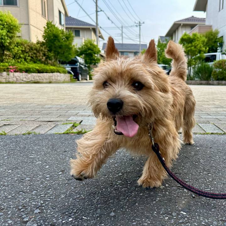 C0e323ec 83c9 47ce ac8d 811debc722b4 1747858633978