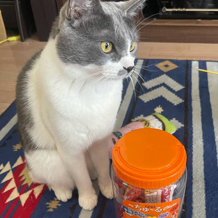 C0e33e28 db6b 4f38 93e9 0d7e0b767b58 1625978097958