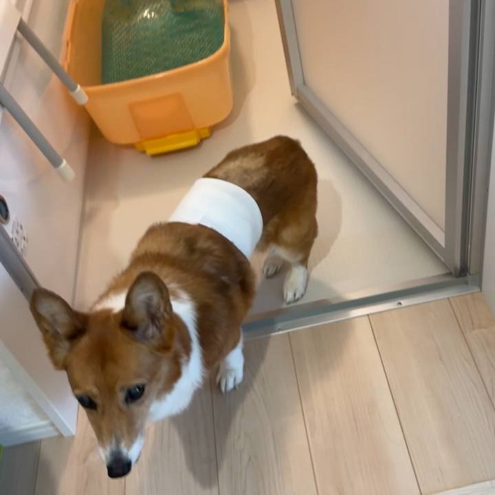 C0e341e2 8da7 427d b55b 8707533a0646 1753508369958