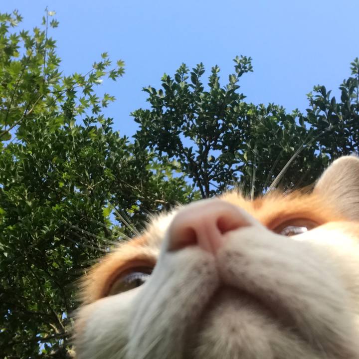 C0e344f8 960b 46e6 b435 9a41cec7e7d4 1536244276978