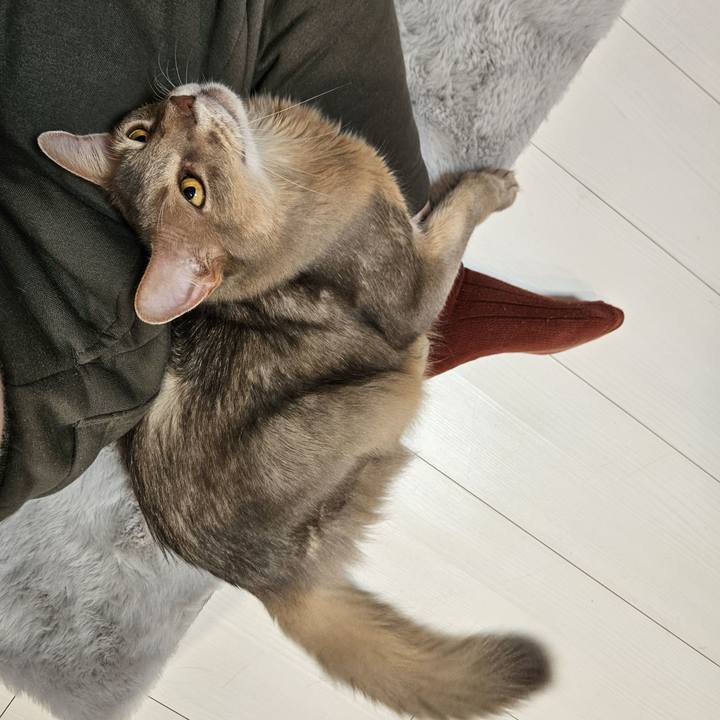 C0e35328 b320 4f9c a1df 4b856fd20593 1702198923114