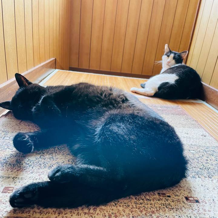 C0e360c9 30a1 4941 90d1 59029937d052 1661734412678